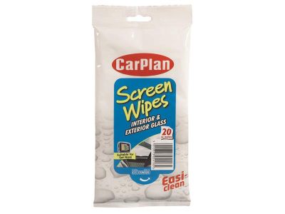 Screen Wipes (Pouch of 20)