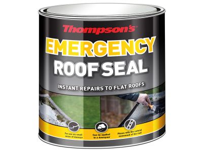 Thompson's Emergency Roof Seal 2.5 litre